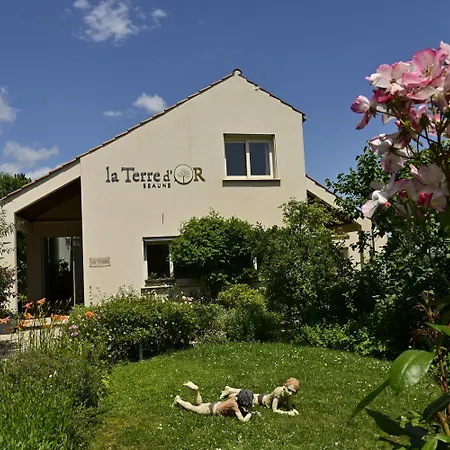 La Terre D'or