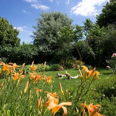 La Terre D'or * Beaune (Cote d'Or)