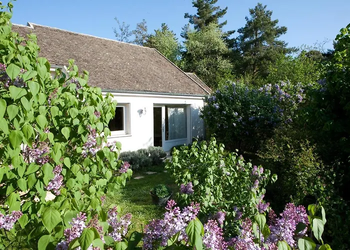 La Terre D'or Сasa de vacaciones Beaune (Cote d'Or)