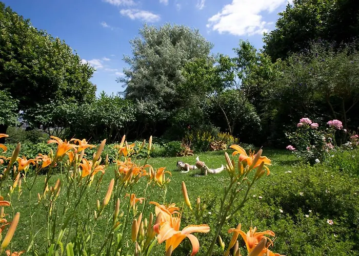 La Terre D'or * بون